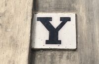 Y
