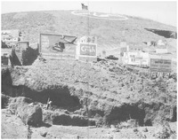 Toro de Osborne (4)