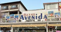 Bazar Avenida