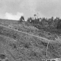 Toro de Osborne (9)