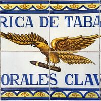 Águila Tinerfeña