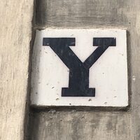 Y