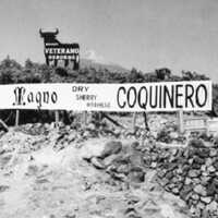 Toro de Osborne (7)