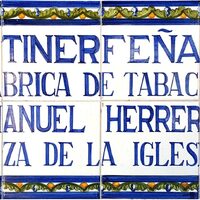 Águila Tinerfeña